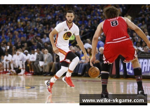 2017年NBA芝加哥公牛战绩及球队表现综述