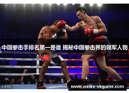 中国拳击手排名第一是谁 揭秘中国拳击界的领军人物